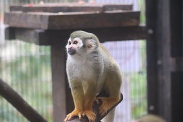 ネオパークオキナワに投稿された画像（2021/3/28）