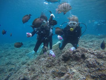 武藤潜水に投稿された画像（2021/3/28）