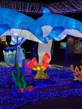 横浜・八景島シーパラダイスに投稿された画像（2021/3/28）