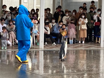 島根県立 しまね海洋館に投稿された画像（2021/3/28）