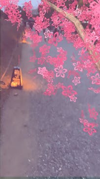 二条城×ネイキッド 二条城夏まつり2021に投稿された画像（2021/3/28）