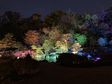 二条城×ネイキッド 二条城夏まつり2021に投稿された画像（2021/3/28）