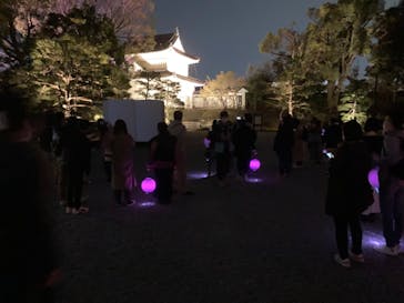 二条城×ネイキッド 二条城夏まつり2021に投稿された画像（2021/3/28）