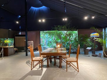 ニューヨークランプミュージアム＆フラワーガーデンに投稿された画像（2021/3/28）