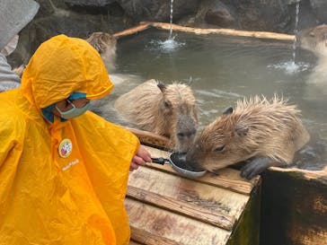 那須どうぶつ王国に投稿された画像（2021/3/28）