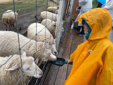 那須どうぶつ王国に投稿された画像（2021/3/28）