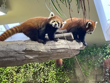 那須どうぶつ王国に投稿された画像（2021/3/28）