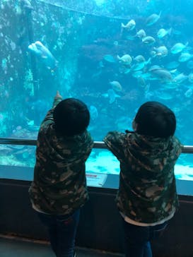 下田海中水族館に投稿された画像（2021/3/28）