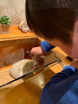 HARRY　原宿駅前店に投稿された画像（2021/3/28）