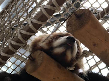 横浜・八景島シーパラダイスに投稿された画像（2021/3/28）