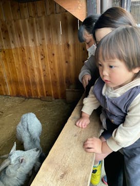 那須サファリパークに投稿された画像（2021/3/28）