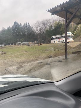 那須サファリパークに投稿された画像（2021/3/28）