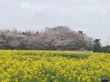 成田ゆめ牧場に投稿された画像（2021/3/28）