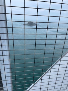 徳島県立 渦の道に投稿された画像（2021/3/28）