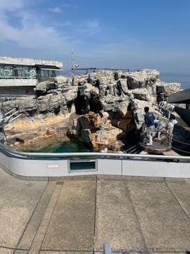 大分マリーンパレス水族館 「うみたまご」に投稿された画像（2021/3/28）