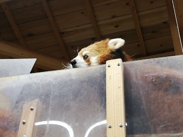 伊豆シャボテン動物公園に投稿された画像（2021/3/28）