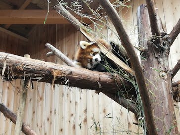 伊豆シャボテン動物公園に投稿された画像（2021/3/28）