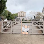 東映太秦映画村に投稿された画像（2021/3/28）