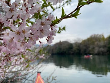 カヌーリゾートたまよどに投稿された画像（2021/3/28）