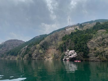 カヌーリゾートたまよどに投稿された画像（2021/3/28）