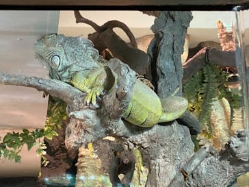 サンシャイン水族館に投稿された画像（2021/3/28）