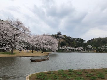 三溪園に投稿された画像（2021/3/28）