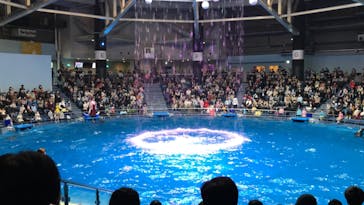 マクセル アクアパーク品川に投稿された画像（2021/3/28）