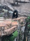 天王寺動物園に投稿された画像（2021/3/28）