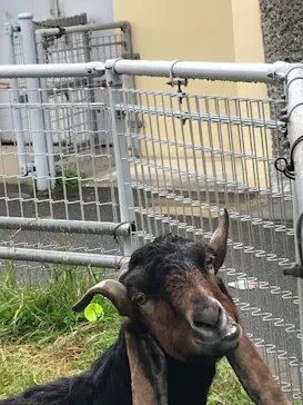 天王寺動物園に投稿された画像（2021/3/28）