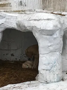 天王寺動物園に投稿された画像（2021/3/28）