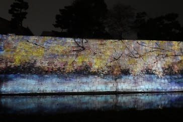 二条城×ネイキッド 二条城夏まつり2021に投稿された画像（2021/3/28）