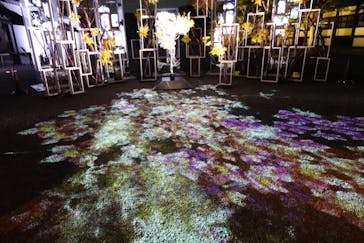 二条城×ネイキッド 二条城夏まつり2021に投稿された画像（2021/3/28）