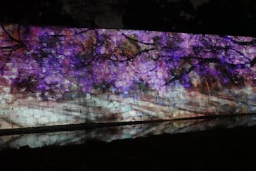 二条城×ネイキッド 二条城夏まつり2021に投稿された画像（2021/3/28）