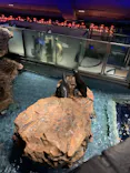 すみだ水族館に投稿された画像（2021/3/28）