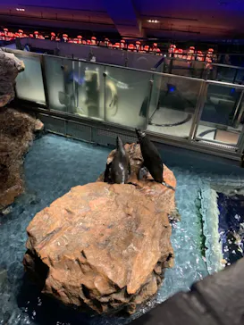 すみだ水族館に投稿された画像（2021/3/28）