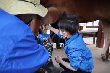 成田ゆめ牧場に投稿された画像（2021/3/28）