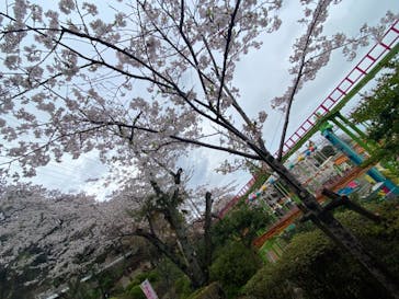 別府ケーブルラクテンチに投稿された画像（2021/3/28）