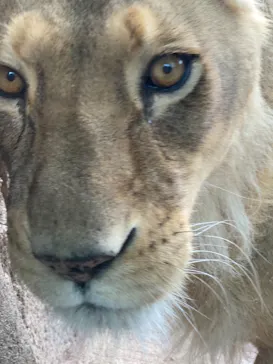 天王寺動物園に投稿された画像（2021/3/28）