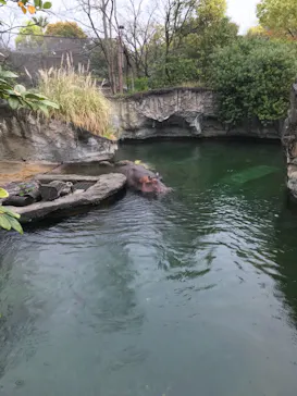 天王寺動物園に投稿された画像（2021/3/28）