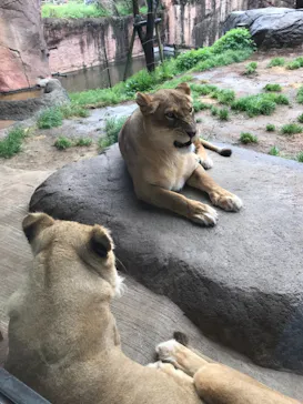 天王寺動物園に投稿された画像（2021/3/28）