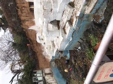 天王寺動物園に投稿された画像（2021/3/28）