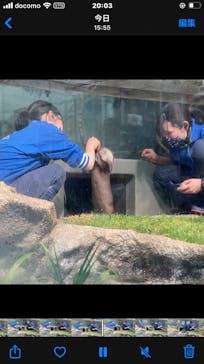 サンシャイン水族館に投稿された画像（2021/3/28）