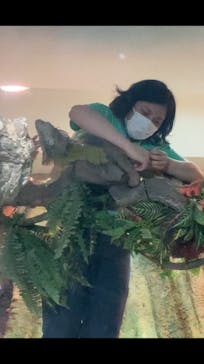 サンシャイン水族館に投稿された画像（2021/3/28）