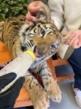 しろとり動物園に投稿された画像（2021/3/28）