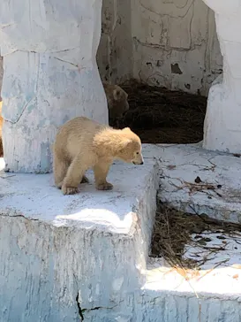 天王寺動物園に投稿された画像（2021/3/28）