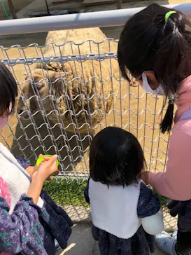 天王寺動物園に投稿された画像（2021/3/28）