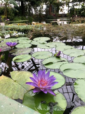 熱川バナナワニ園に投稿された画像（2021/3/28）