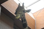 天王寺動物園に投稿された画像（2021/3/28）