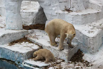 天王寺動物園に投稿された画像（2021/3/28）