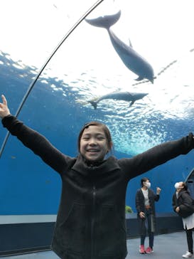 横浜・八景島シーパラダイスに投稿された画像（2021/3/28）